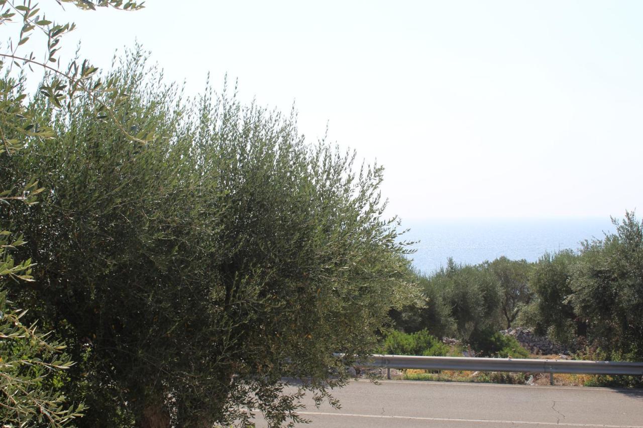 Amoru Bed & Breakfast Castro (Lecce)