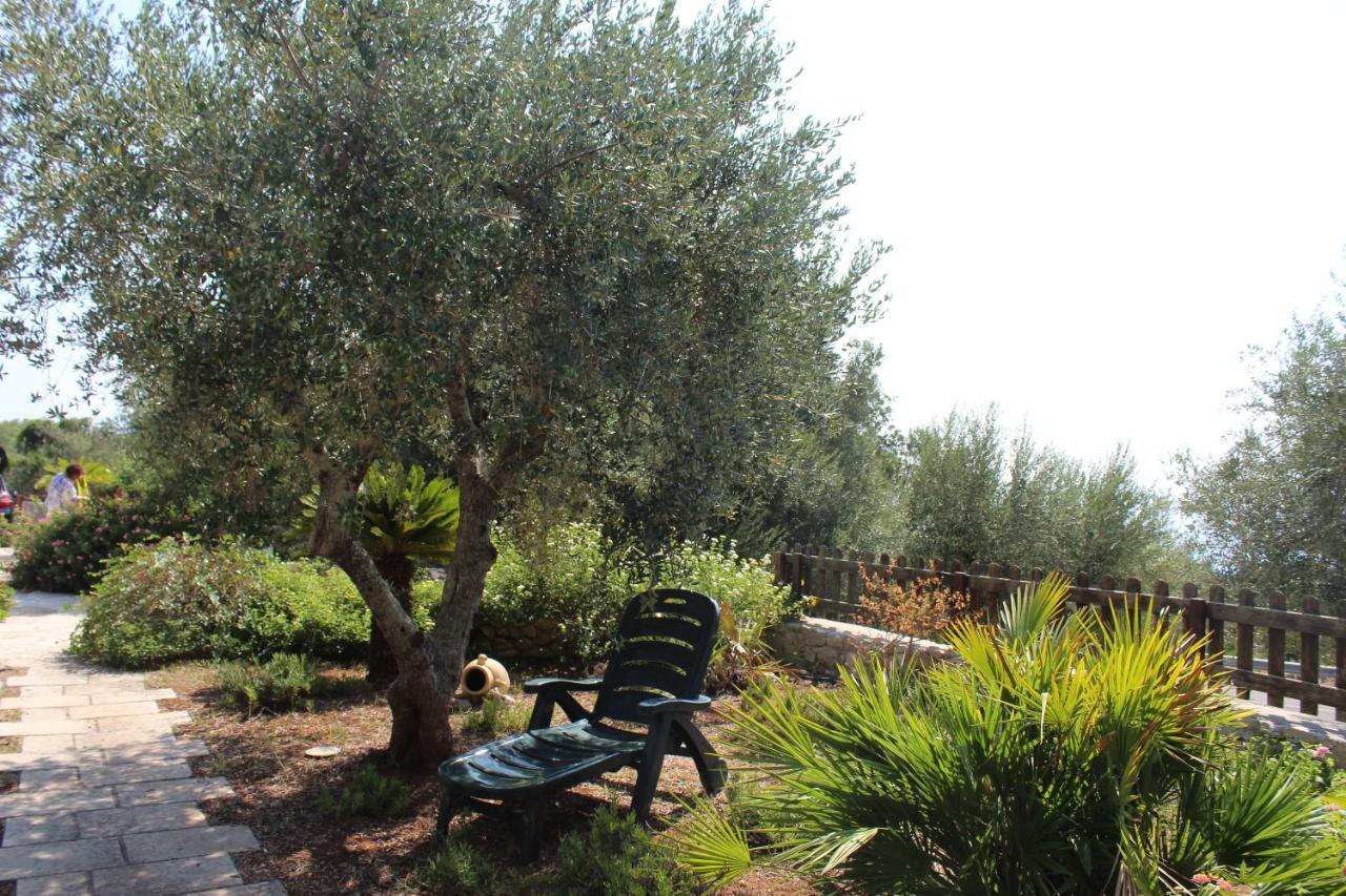 Amoru Bed & Breakfast Castro (Lecce)