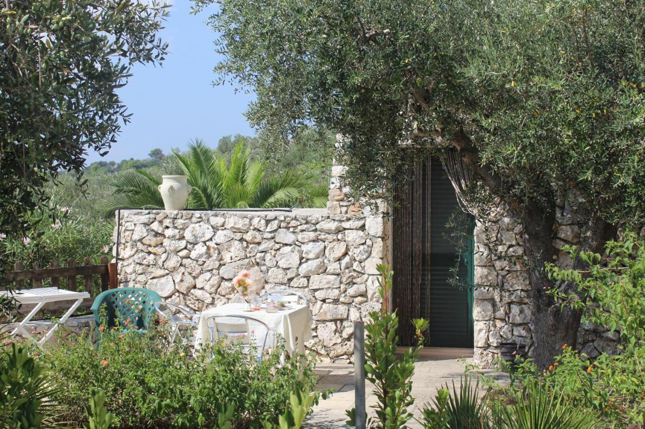 Amoru Bed & Breakfast Castro (Lecce)